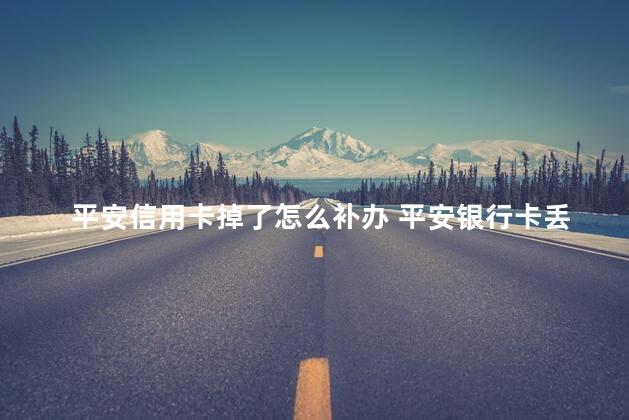 平安信用卡掉了怎么补办 平安银行卡丢了怎么补办